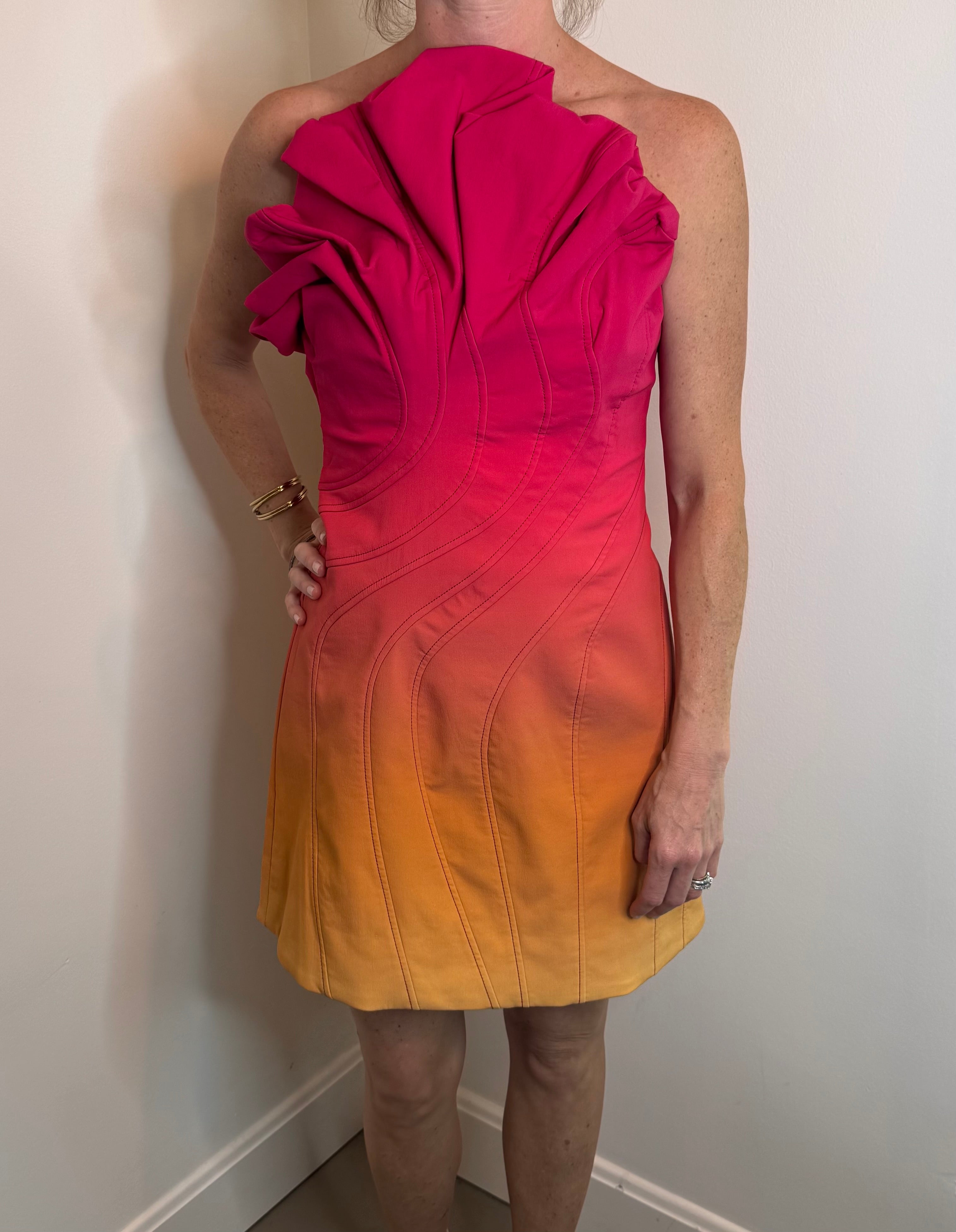 Acler Catterick Mini Dress