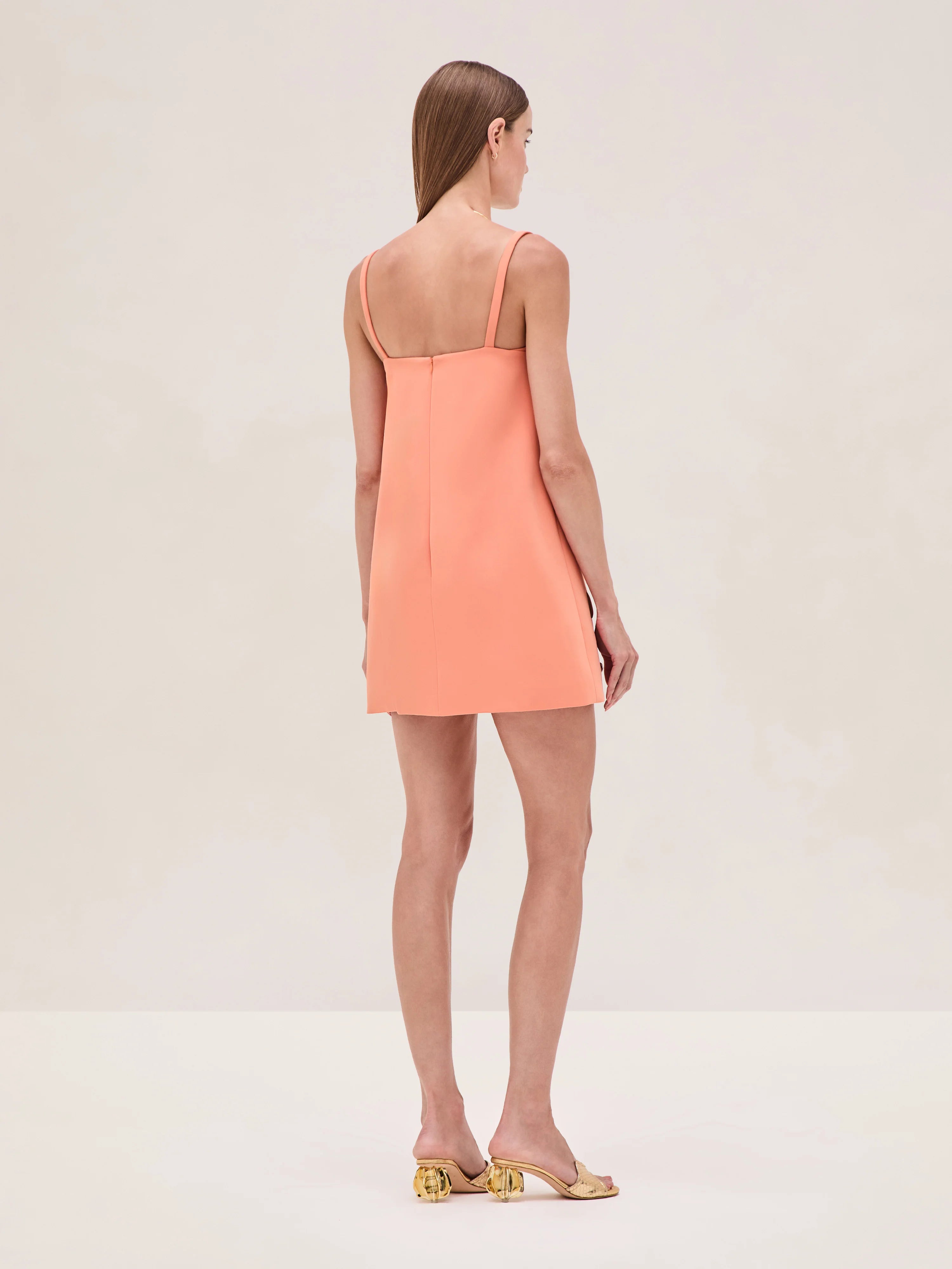 Alexis Larsen Mini Dress