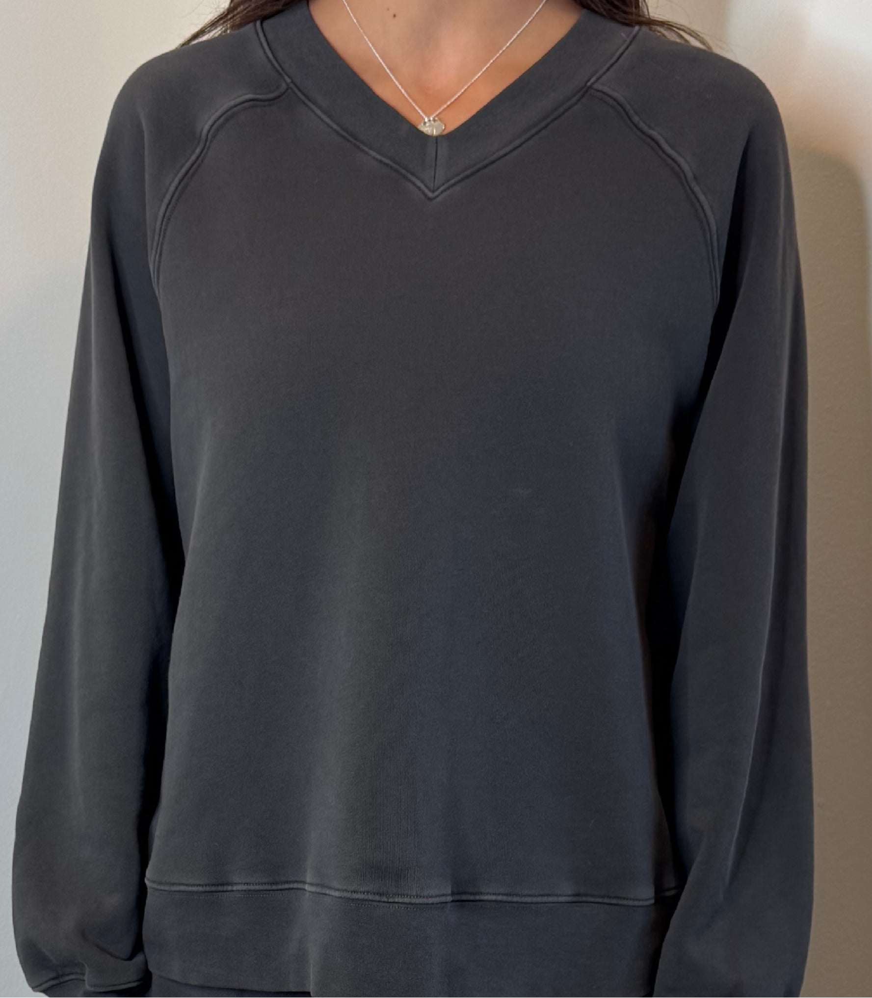 Xirena Brit Sweatshirt