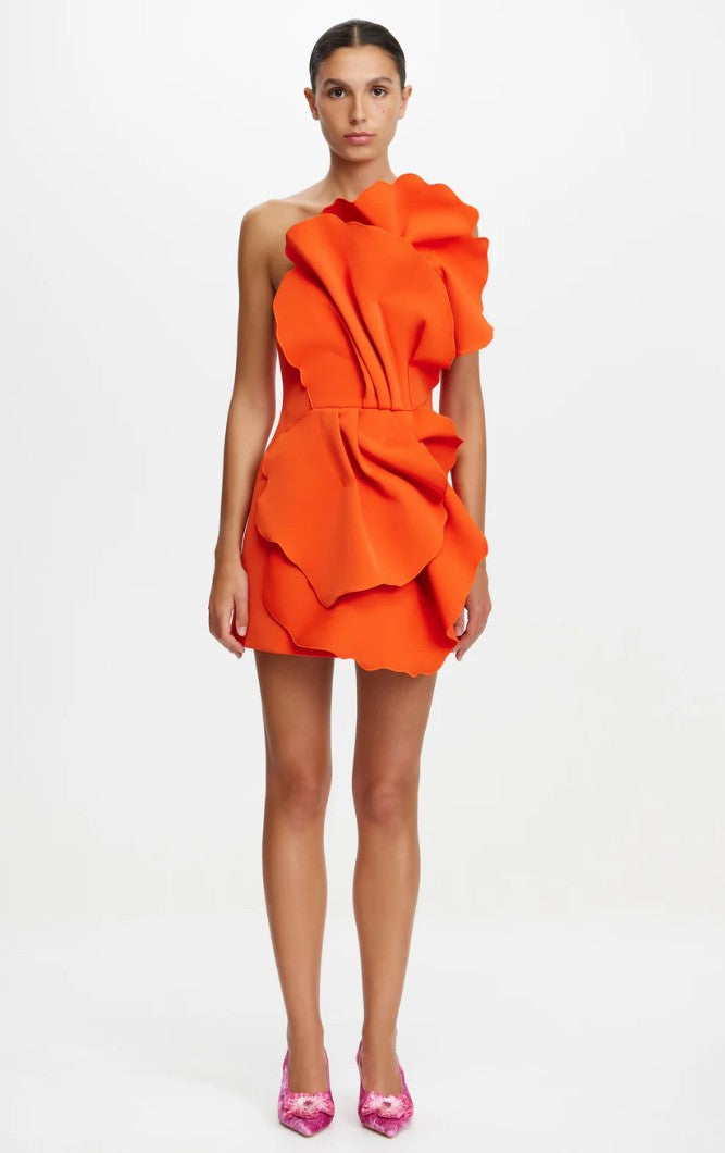 Acler Oake Mini Dress