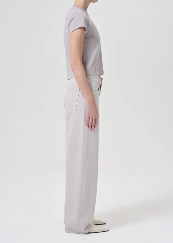 Agolde Low Curve Jean