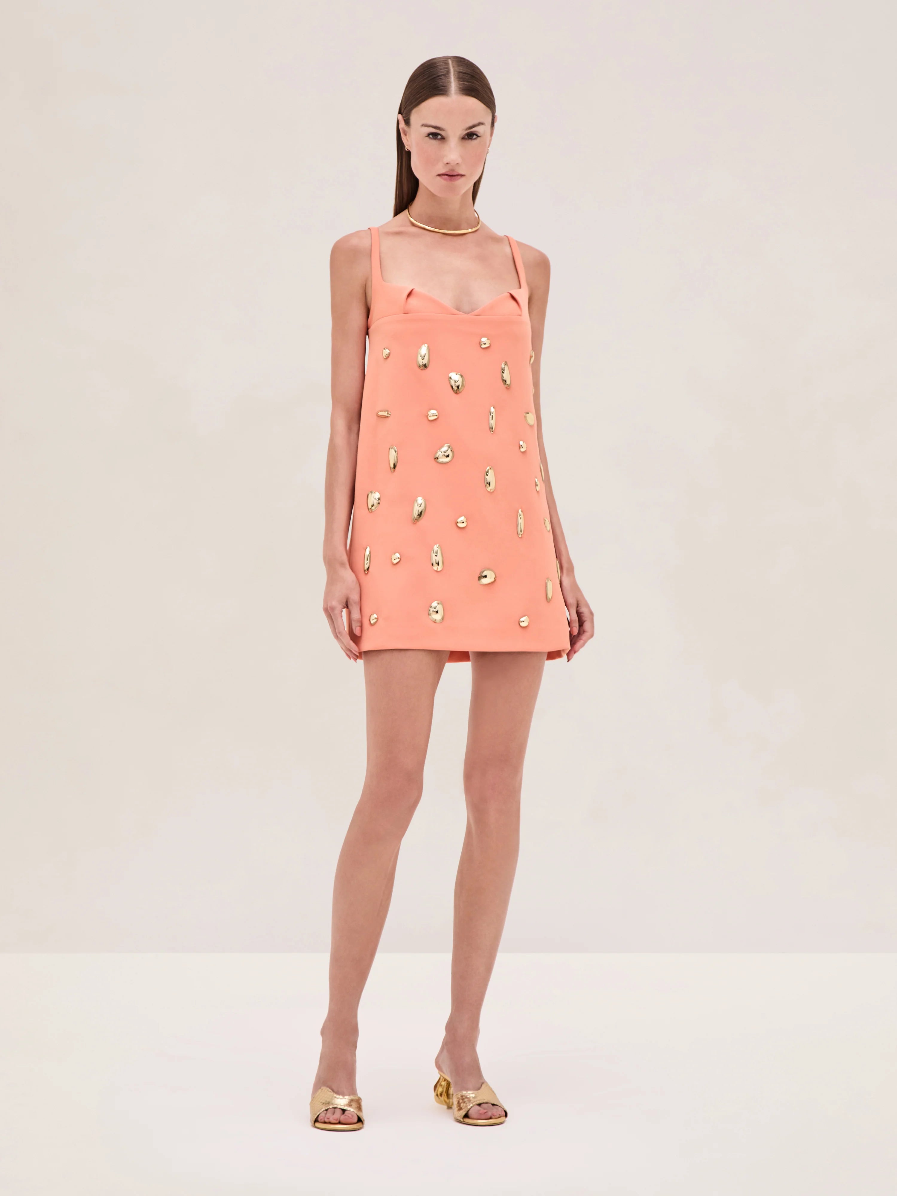 Alexis Larsen Mini Dress