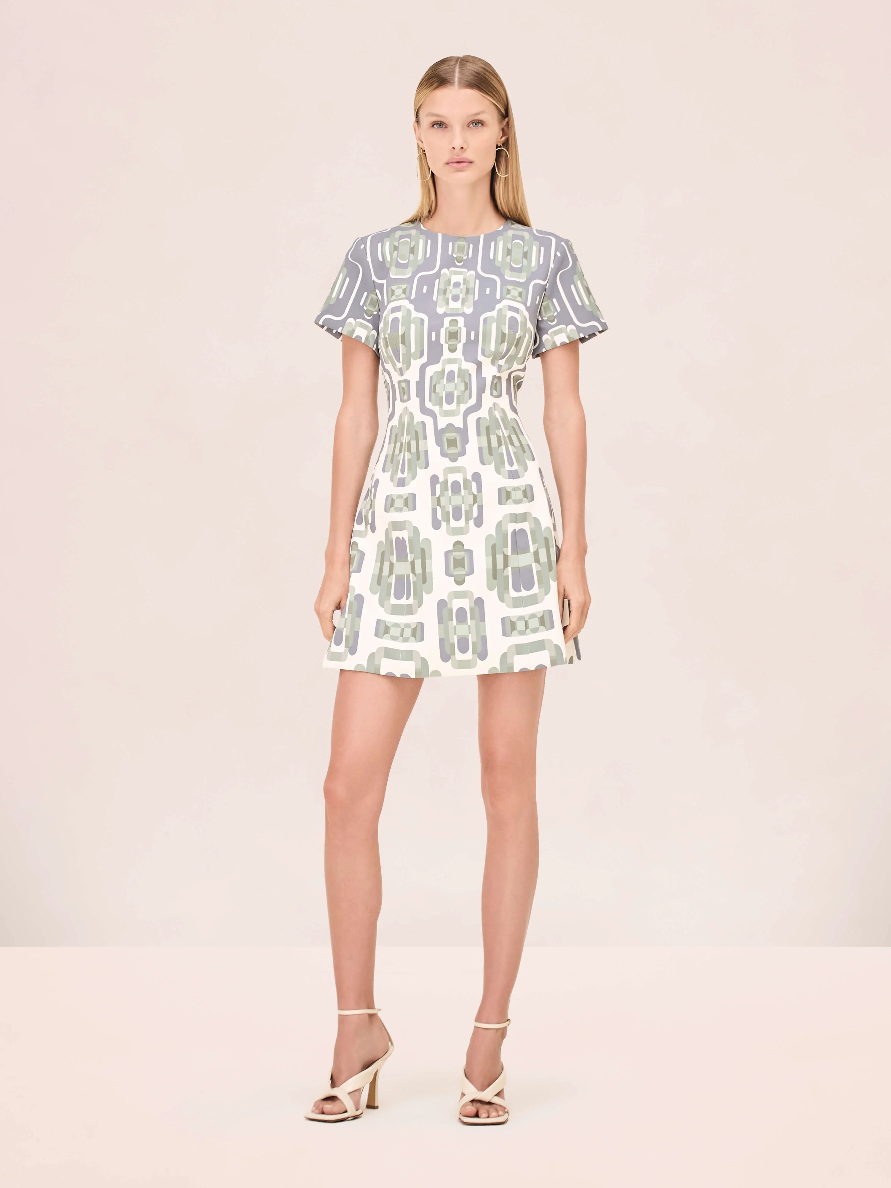 Alexis Silva Dress