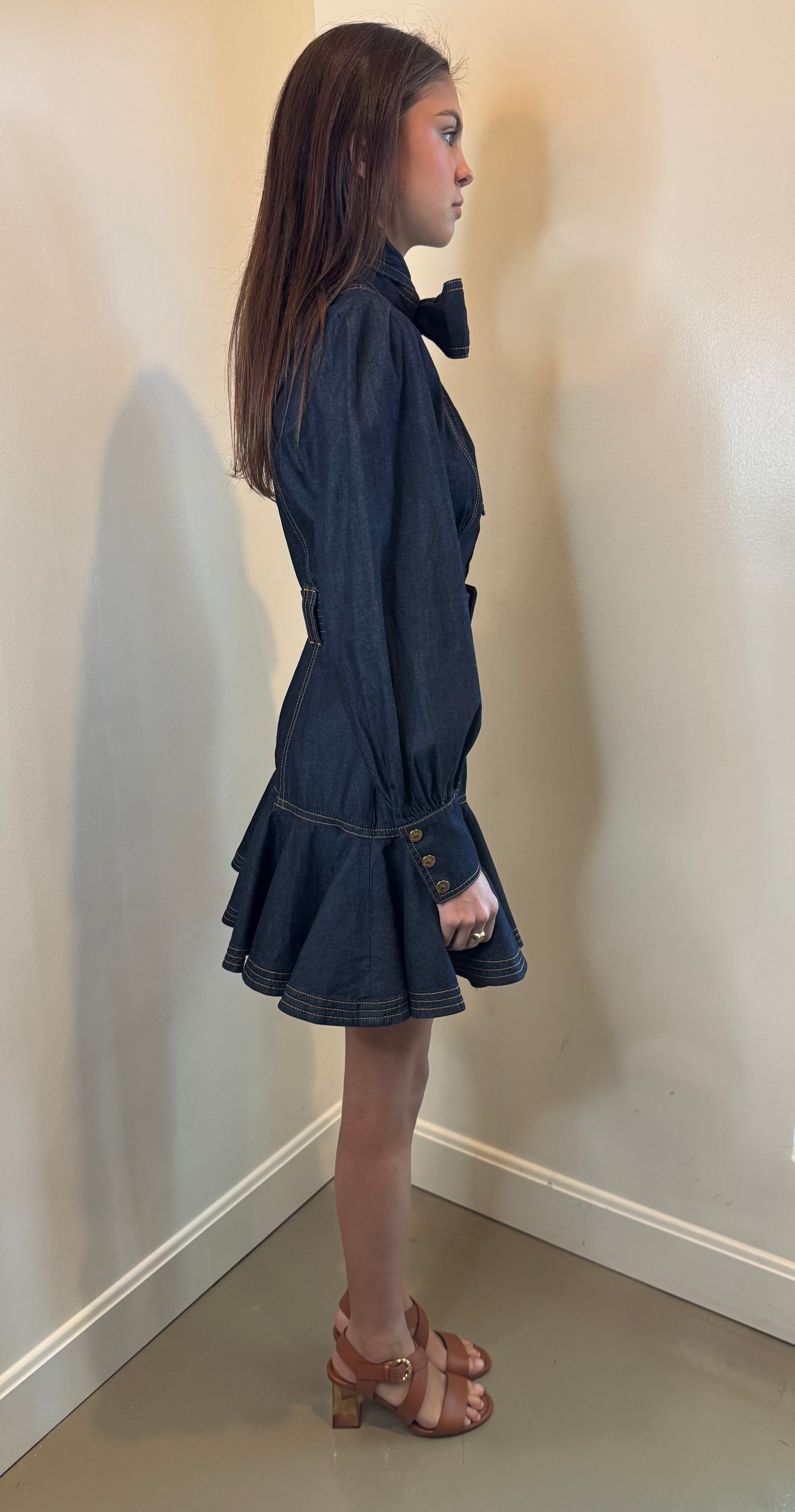 Zimmermann Denim Flip Dress