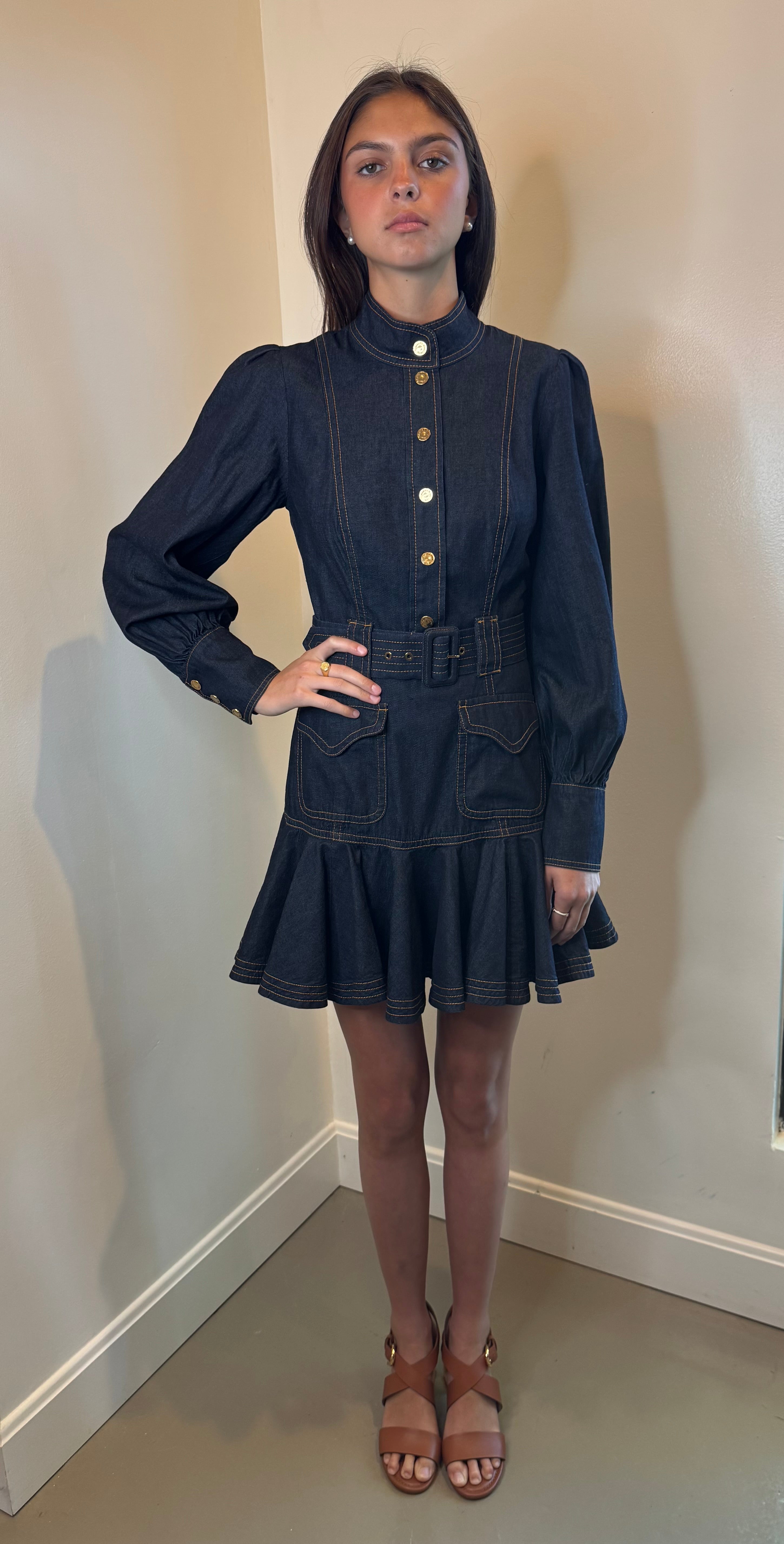 Zimmermann Denim Flip Dress