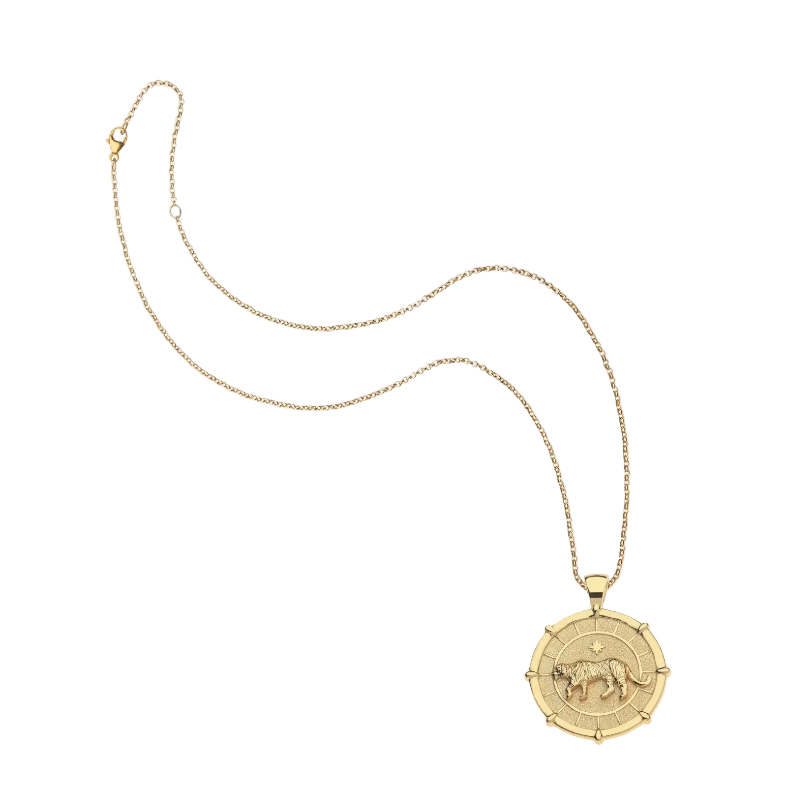 Jane Win Strong tiger JW original pendant coin